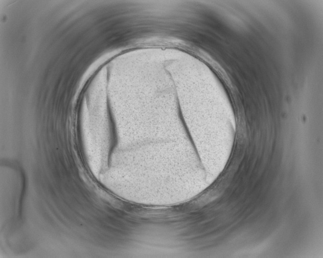 X0000085801486200704131908