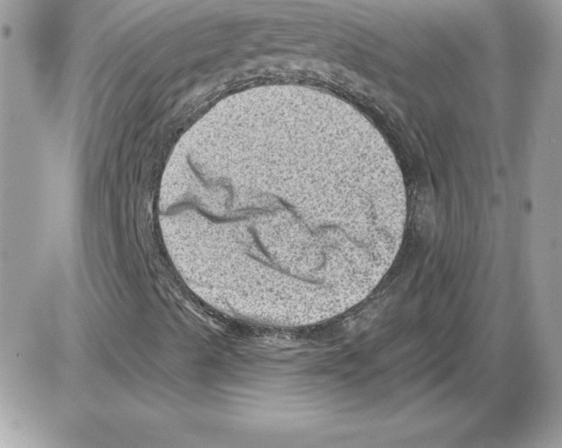 X0000085801489200704131907