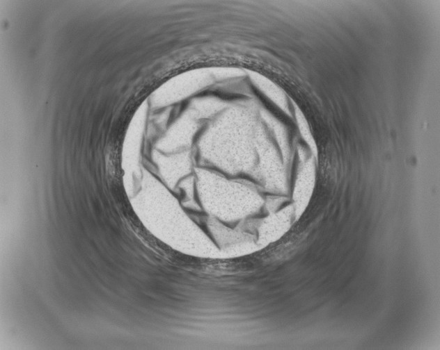 X0000085801490200704131907