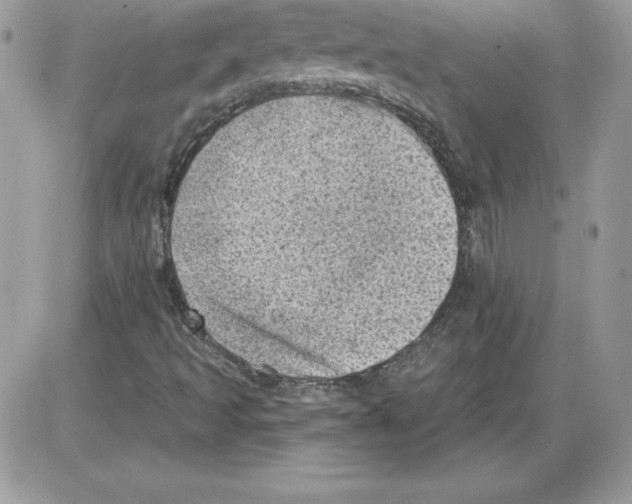 X0000085801493200704131907