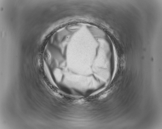 X0000085801496200704131907