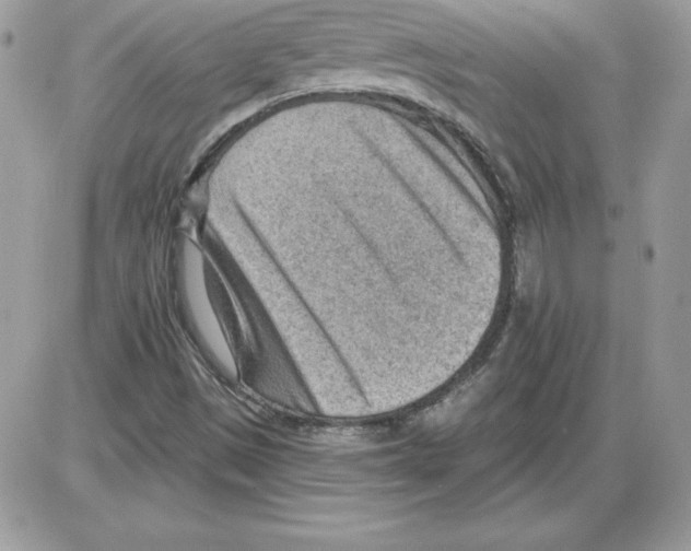 X0000085801497200704131907