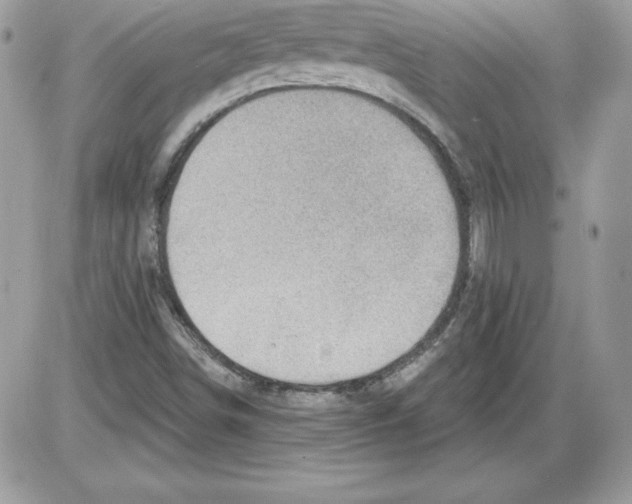 X0000085801498200704131907