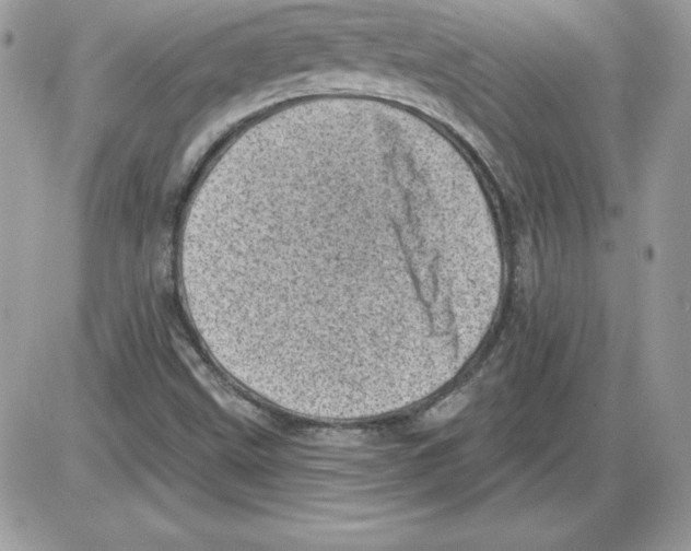 X0000085801499200704131907