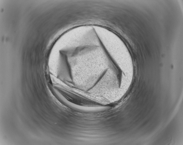 X0000085801500200704131907