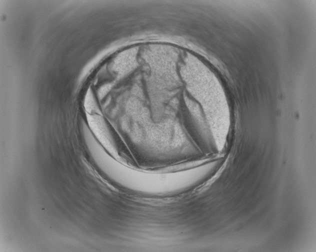 X0000085801502200704131907