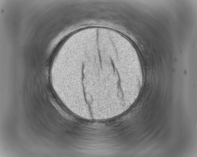 X0000085801503200704131907