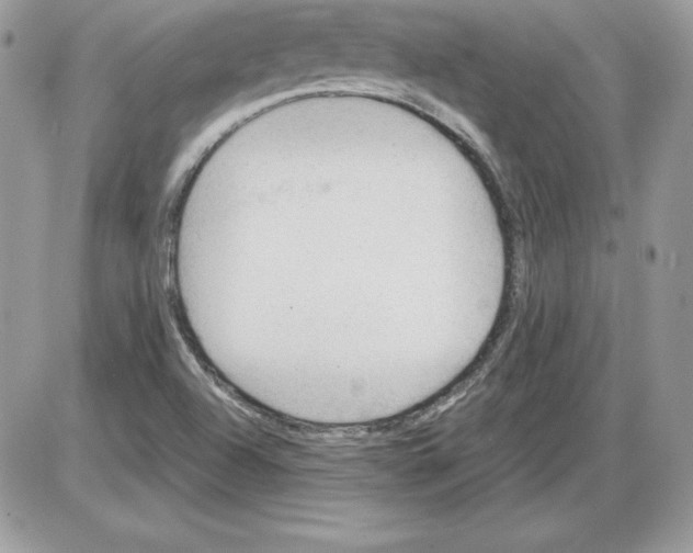 X0000085801504200704131907