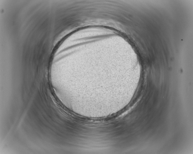 X0000085801505200704131907