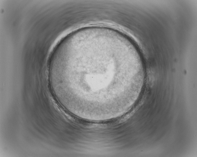 X0000085801506200704131907