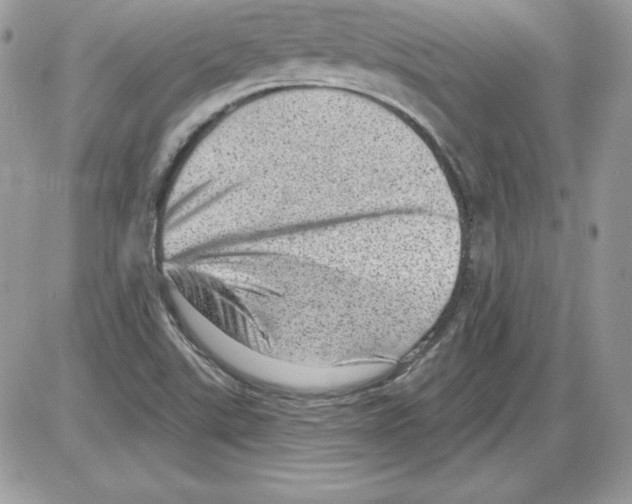 X0000085801507200704131907