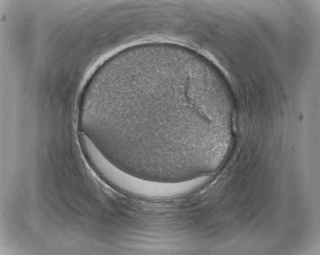 X0000085801508200704131907