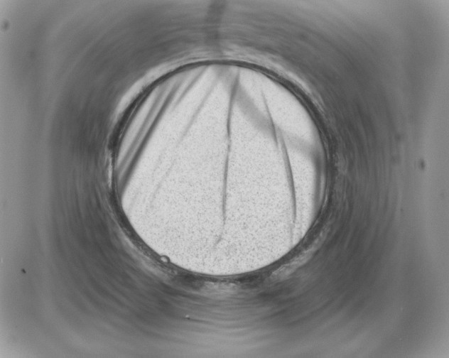 X0000085801509200704131907