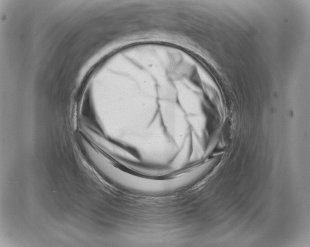 X0000085801510200704131908