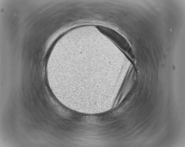 X0000085801511200704131908