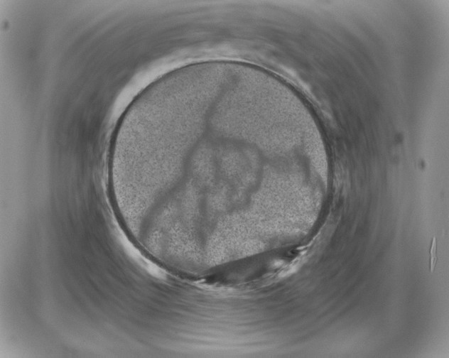 X0000085801512200704131908