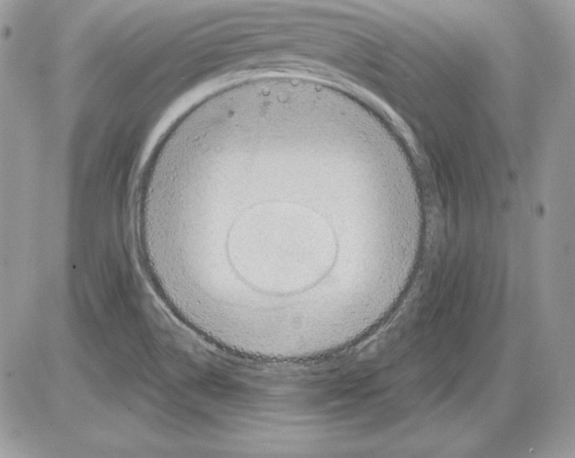 X0000085801514200704131908