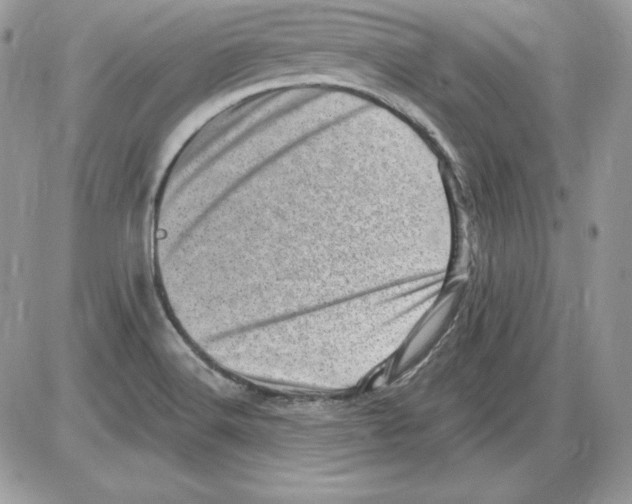 X0000085801516200704131908