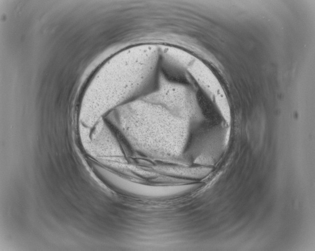 X0000085801517200704131908