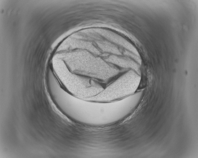 X0000085801518200704131908