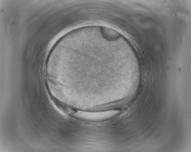 X0000085801519200704131908