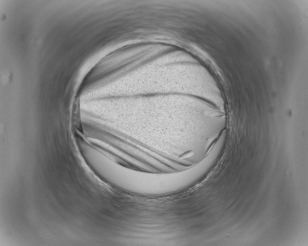 X0000085801520200704131908