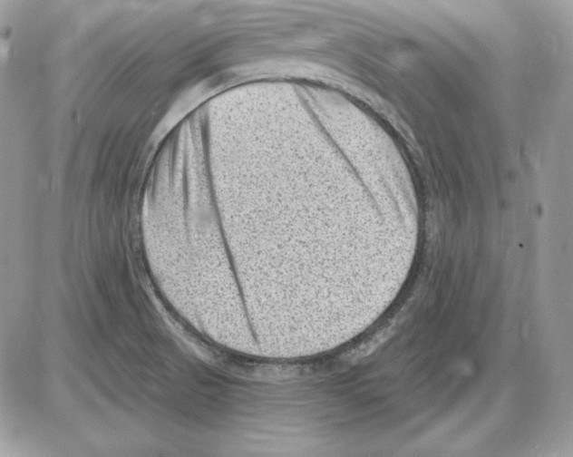 X0000085801521200704131908