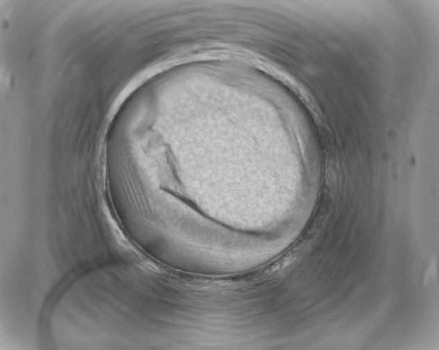 X0000085801522200704131908