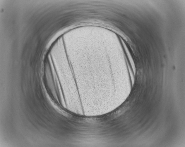 X0000085801523200704131908