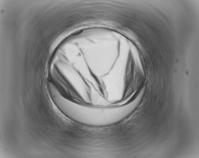 X0000085801524200704131908