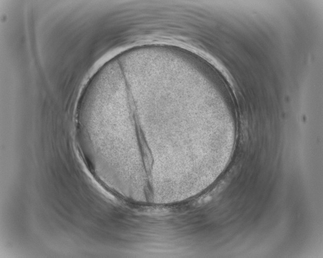 X0000085801525200704131908