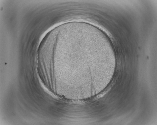 X0000085801526200704131908