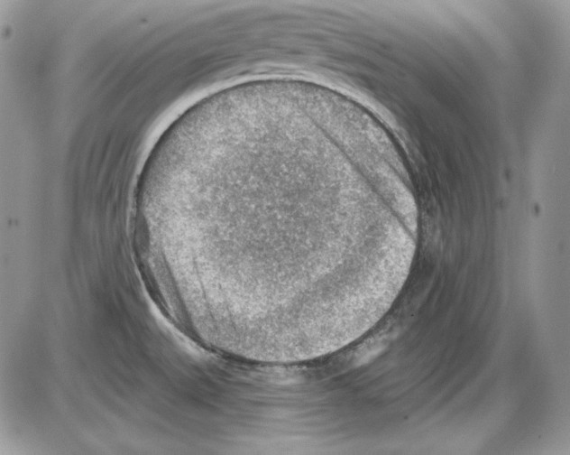 X0000085801527200704131908