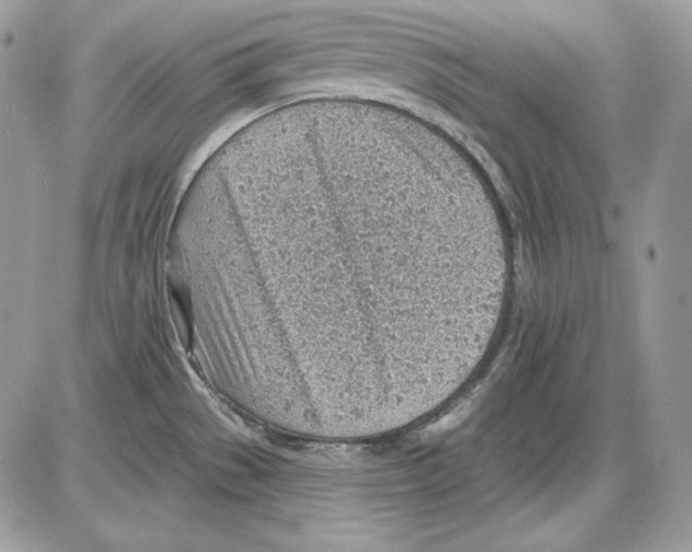 X0000085801529200704131908