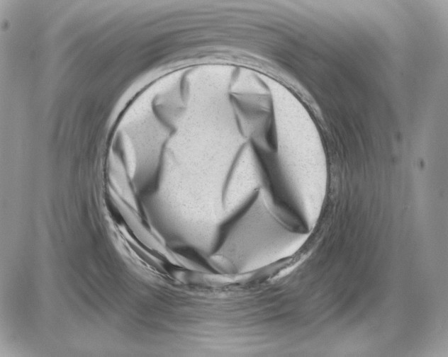 X0000085801530200704131908