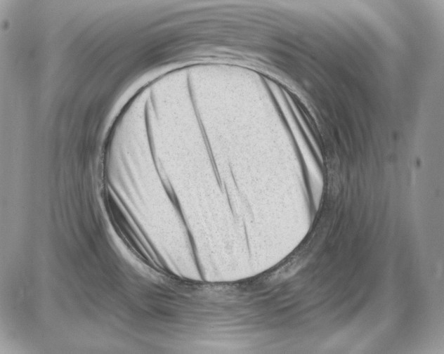 X0000085801531200704131908