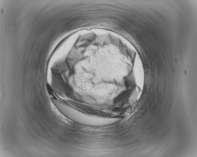 X0000085801532200704131908