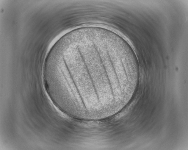 X0000085801533200704131908