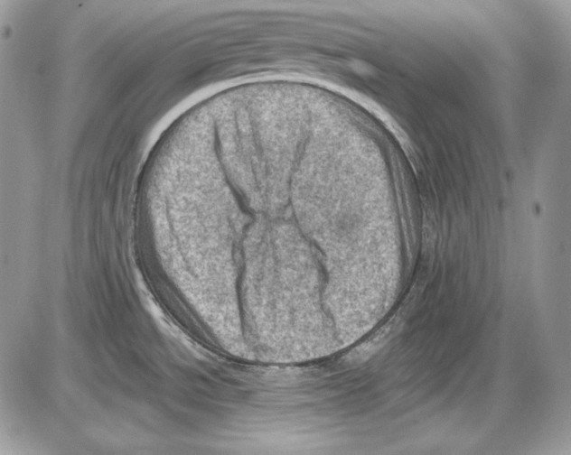 X0000085801534200704131908