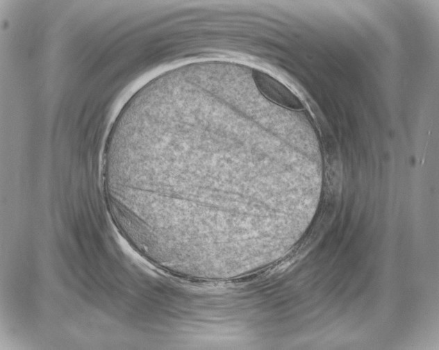 X0000085801535200704131908