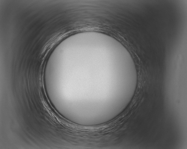 X0000085810002200703161041