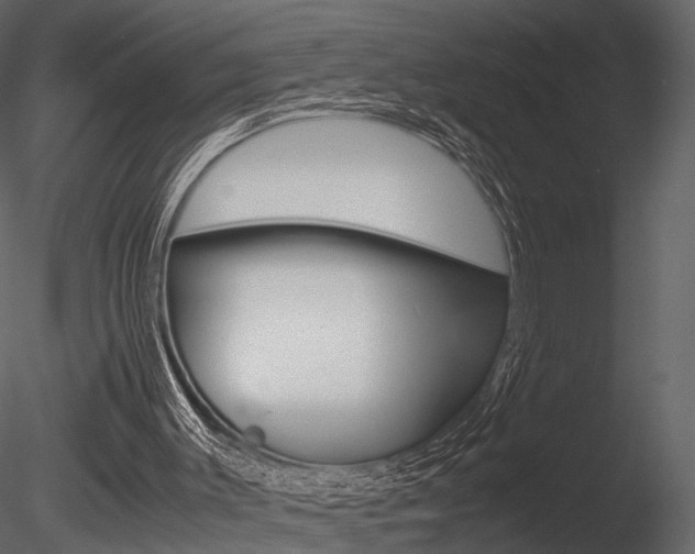 X0000085810003200703161041