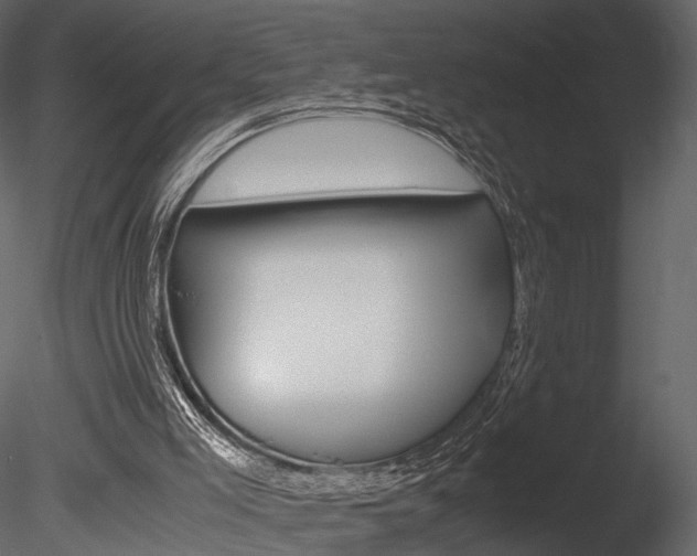 X0000085810005200703161041