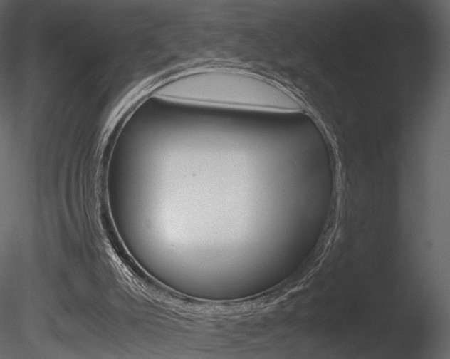 X0000085810007200703161041