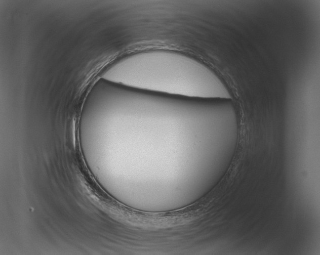 X0000085810014200703161041