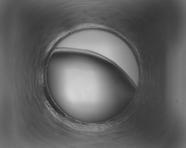 X0000085810015200703161041