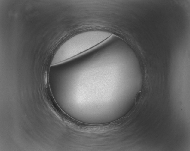 X0000085810021200703161041