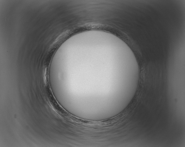 X0000085810024200703161041