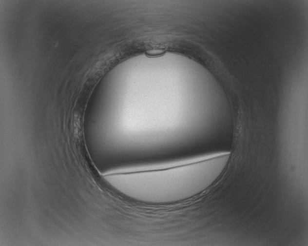 X0000085810025200703161041