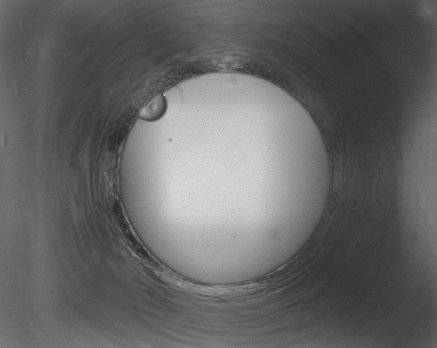X0000085810030200703161041